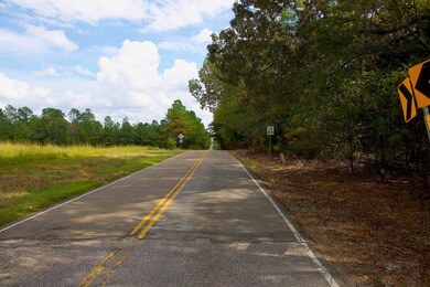 914 Park Swain Rd, Grand Junction, TN 38039 - photo 4