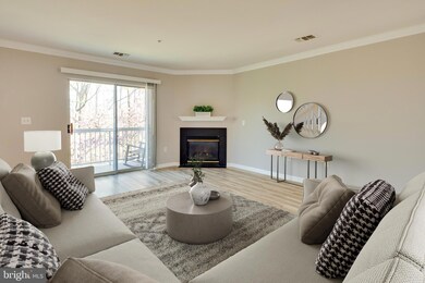4526 Superior Square unit 4526, Fairfax, VA 22033 - photo 3