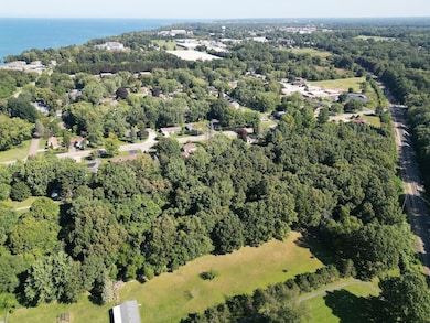 Looking North