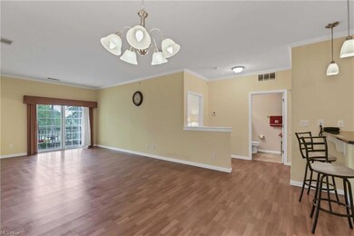 1006 Aqua Marine Blvd unit 44, Avon Lake, OH 44012 - photo 4