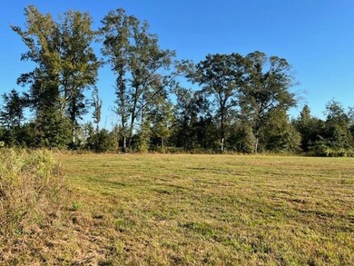 67 Beaver Pond Rd, Luverne, AL 36049 - photo 7