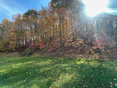 307 Ann Dr unit 307, Summersville, WV 26651 - photo 5