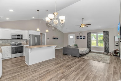 4037 Highway 905, Conway, SC 29526 - photo 5