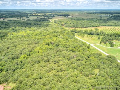 000 W 311th St S, Depew, OK 74028 - photo 5