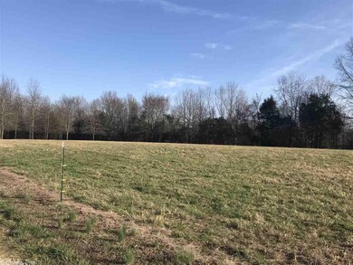 3012 Mount Carmel Rd, Paragould, AR 72450 - photo 5