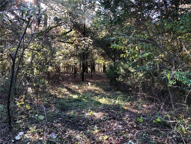 0 Sulphur City & Stokenbury Rd unit 1131158, Elkins, AR 72727 - photo 5