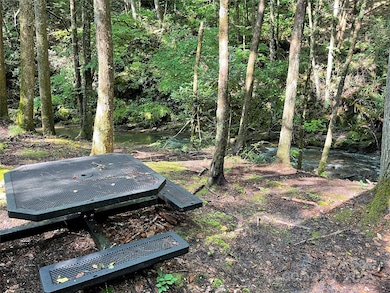 TBD (Lots 13 & 14) Timberwilde Dr, Laurel Springs, NC 28644 - photo 3