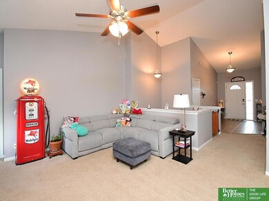 805 Stony Point Dr, Papillion, NE 68046 - photo 7