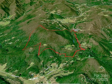 1411 Cabin Creek Rd, Zirconia, NC 28790 - photo 7