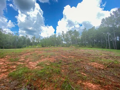 135 Cedar Ridge Rd, Lucedale, MS 39452 - photo 2