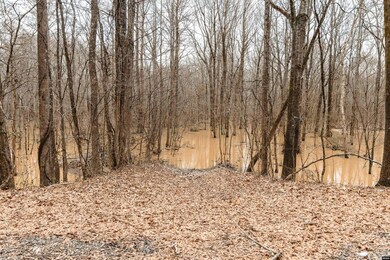 0 Etheridge Levee Rd, Greenfield, TN 38230 - photo 7