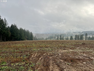 23129 SW Jaquith Rd, Newberg, OR 97132 - photo 4