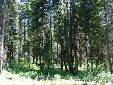 Camp Lot Just South of Tamarack Resort