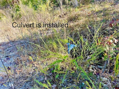 010-01589-000 Canmore Dr, Briarcliff, AR 72653 - photo 5