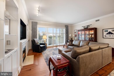 The Ritz-Carlton Residences unit 152, Baltimore, MD 21230 - photo 7