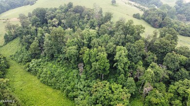 dji_fly_20230629_160040_76_1688068848507