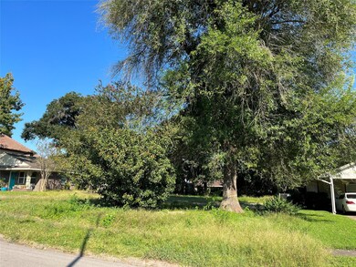 1714 Ronson Rd, Houston, TX 77055 - photo 4