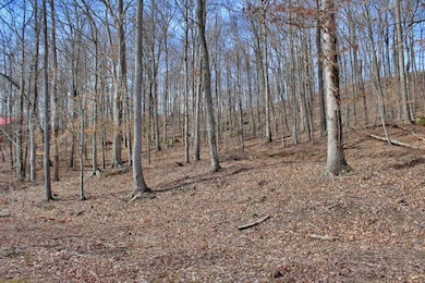 1282 Haynes Knob Rd, Somerset, KY 42501 - photo 6