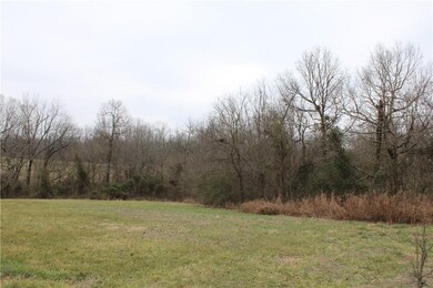 20954 Birdsong Dr, Springdale, AR 72762 - photo 2