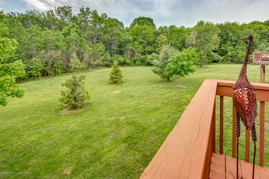 Expansive backyard