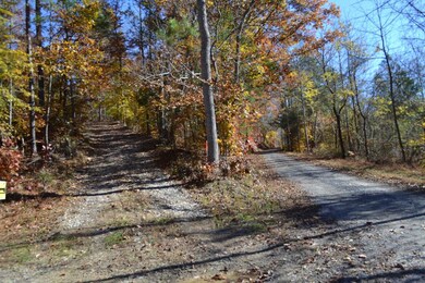 28.30ac Whitson Hollow Rd, Red Boiling Springs, TN 37150 - photo 6