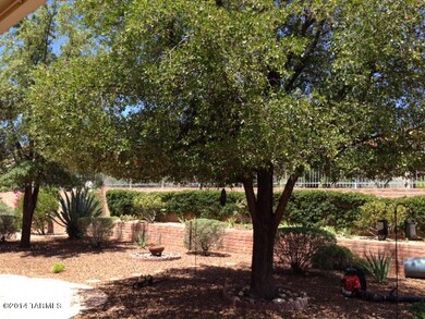 photo_5 (7)