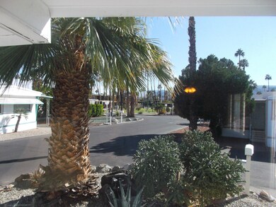 View from Living Room