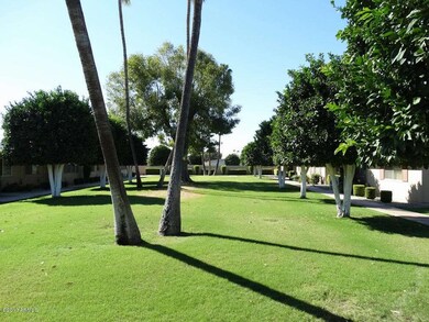 10860 W Santa fe Dr unit 55, Sun City, AZ 85351 - photo 2