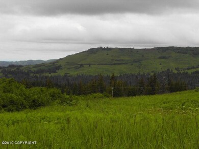 LOTS OF WILDERNESS