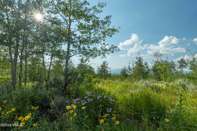 624 Gore Trail