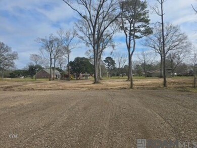 TBD Tiger Bend Rd, Baton Rouge, LA 70817 - photo 5