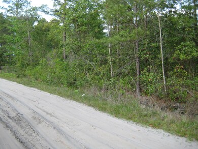View looking north on Lori Loop