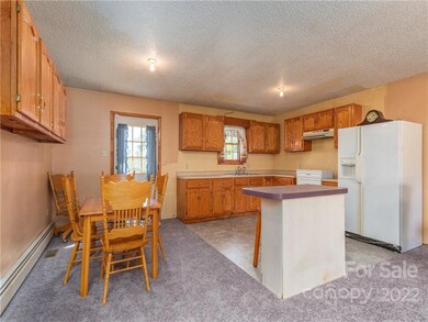 109 Dix Creek Chapel Rd, Asheville, NC 28806 - photo 7