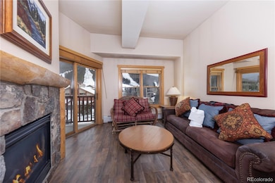 105 Wheeler Cir unit 434, Frisco, CO 80443 - photo 2