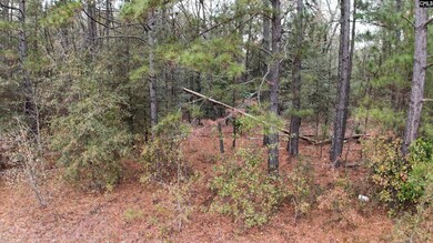 1319 Lake Shore Dr, Camden, SC 29020 - photo 4