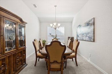 1324 Lake Falls Terrace, Carrollton, TX 75010 - photo 3