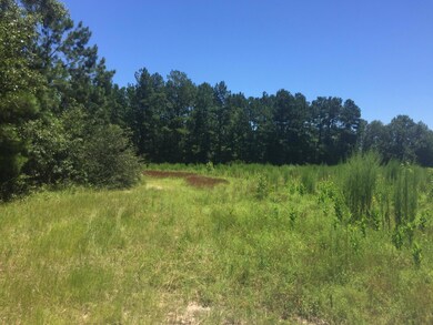 Field view 1