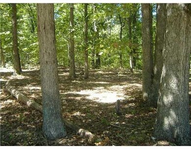 13 Drummore Dr, Bella Vista, AR 72715 - photo 6