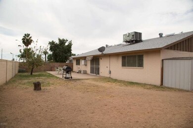 Backyard-3
