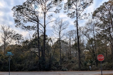 9076 N Evenstock Way, Crystal River, FL 34428 - photo 2