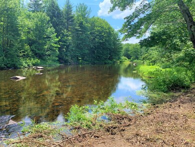TBD Sokokis Trail, Limerick, ME 04048 - photo 6