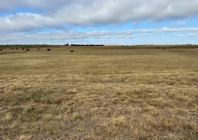 0 County Road 202 & 43 unit 20251565, Woodward, OK 73801 - photo 4