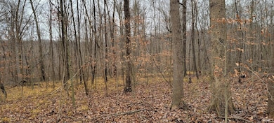 62.2 Acres Blanton Rd, Spice Valley Township, IN 47446 - photo 6