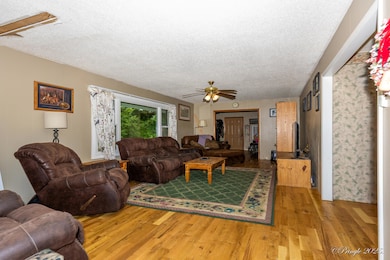 Living Room-1