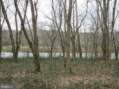 1150 Canoe River Dr, Rileyville, VA 22650 - photo 3