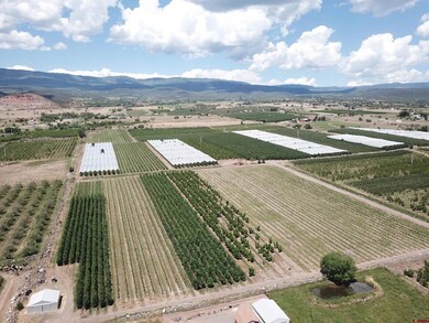 Lot 2 NW Cedar Ave, Cedaredge, CO 81413 - photo 3