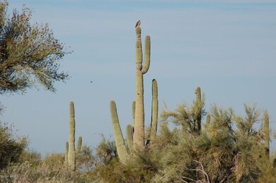 Backs to Acres of Natural Open Space