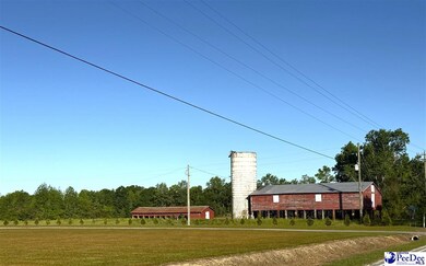 Red Barn Tract State Road S-21-881, Scranton, SC 29591 - photo 7