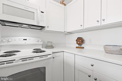 1736 Willard St NW unit 506, Washington, DC 20009 - photo 3