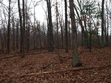 0 N Centerline Rd unit 13065638, White Cloud, MI 49349 - photo 7